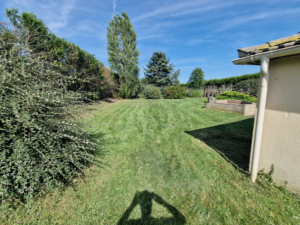 Jardin vert tondu