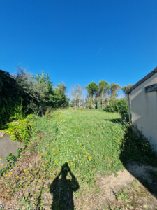 jardin avant